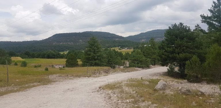 ¡A sacudir las cobijas!