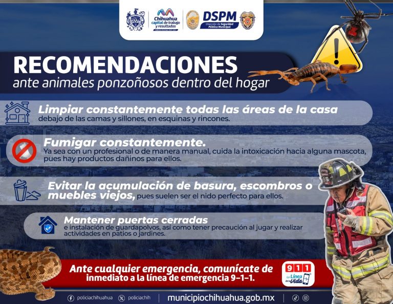 Piden bomberos tener cuidado con animales ponzoñosos dentro del hogar