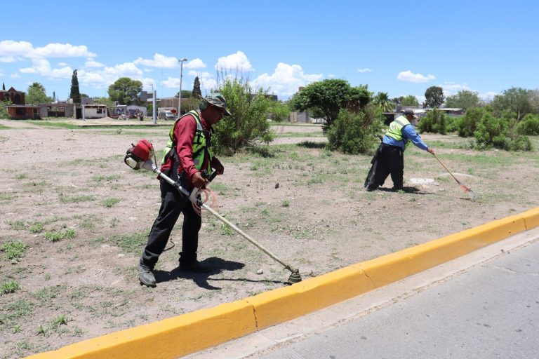 Retira Gobierno Municipal más de 271 mil kilos de basura