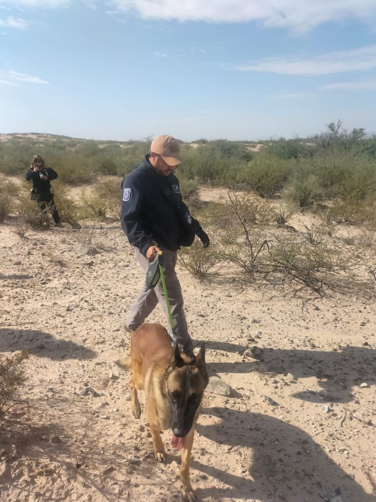 Dirige Comisión Local de Búsqueda operativos forenses en el Valle de Juárez