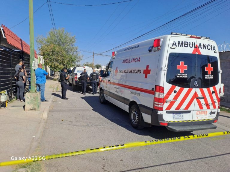 Atiende Policía de Chihuahua reporte de ataque de feroz perro