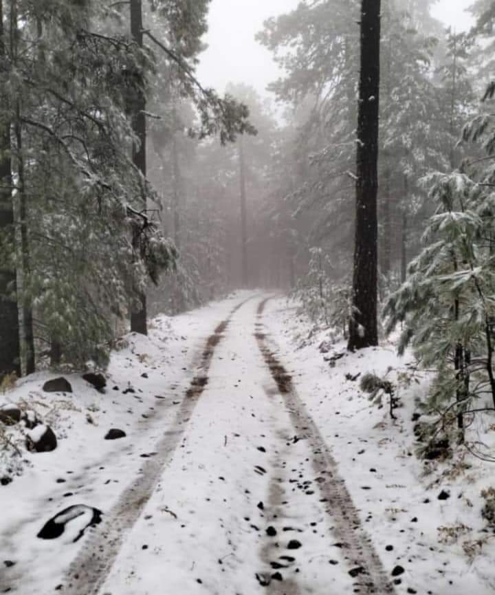 Reportan primera nevada en municipio de Madera