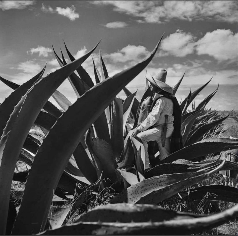 La grandeza de la fotografía de Juan Rulfo