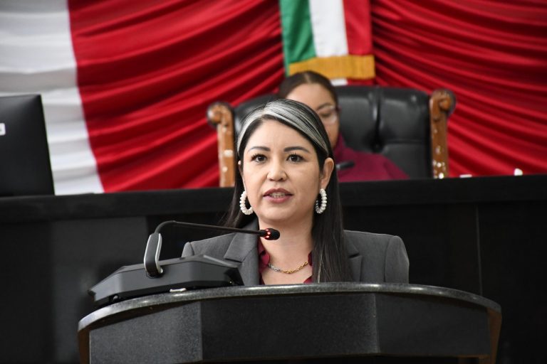 Exigen a Rosario Piedra cumplir su misión al frente de la CNDH