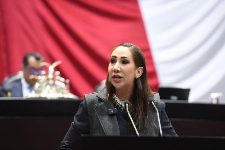 MÉXICO A UN PASO DE LA DICTADURA POR DESTRUCCIÓN DE ÓRGANOS AUTÓNOMOS: GPPAN