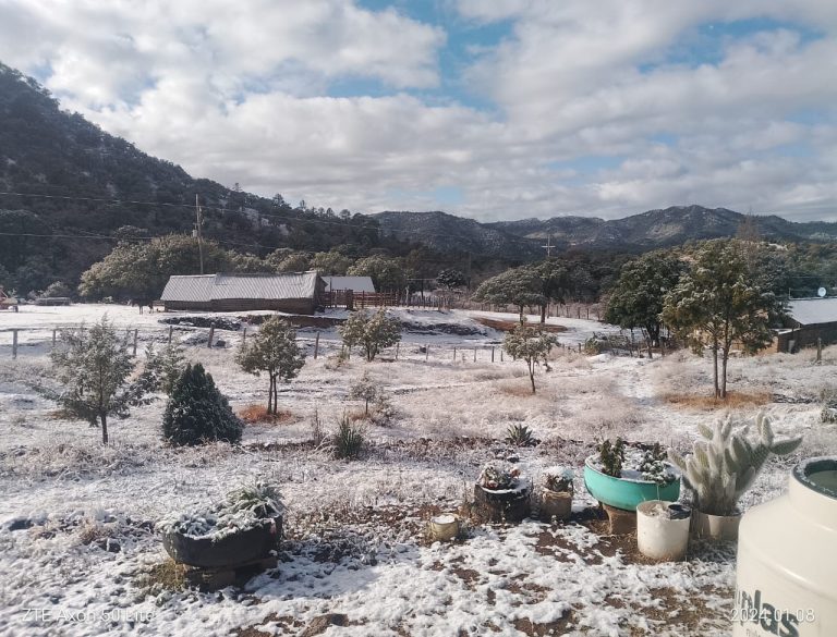 ¡A sacar chamarras, que viene el frío!