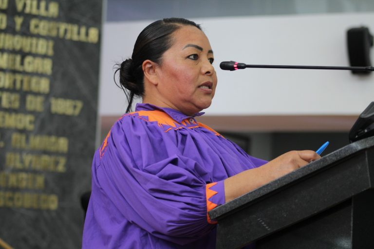 Indígenas con discapacidad en Chihuahua sufren ‘doble exclusión social’, alerta diputada Edith Palma