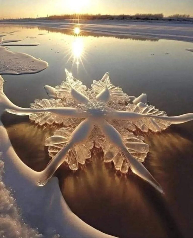 El arte esculpido en hielo…por la naturaleza