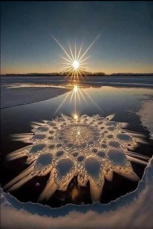 Prevén bajas temperaturas para mañana