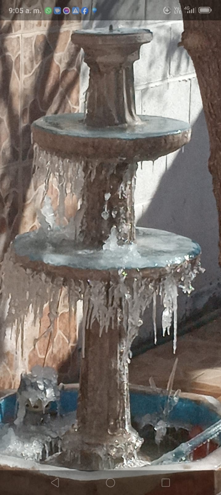 Ocasiona masa de aire polar temperaturas gélidas en gran parte del estado