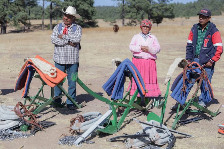 Busca gobierno estatal apoyo integral de población indígena