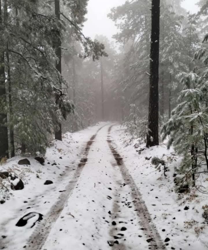 Prevén clima gélido en toda la entidad