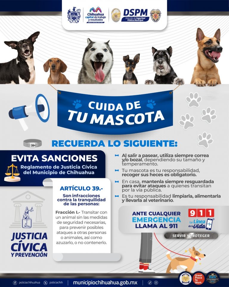 Recomiendan pasear a mascotas con correa