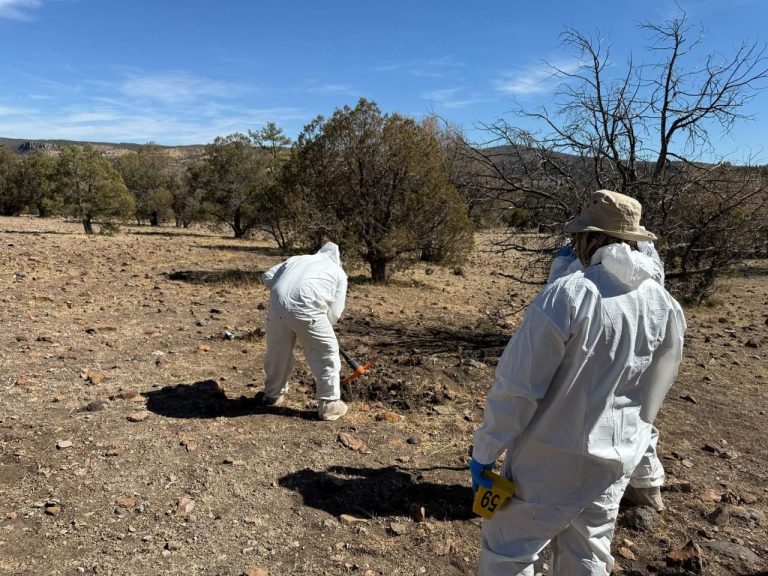 Hallan restos de seis personas más en «El Willy»