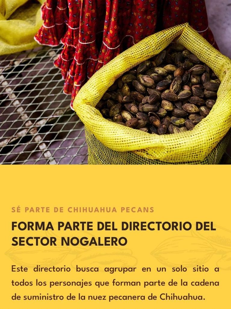 Apronuez y Chihuahua Pecans lanzan registro gratuito para proveedores del sector nogalero