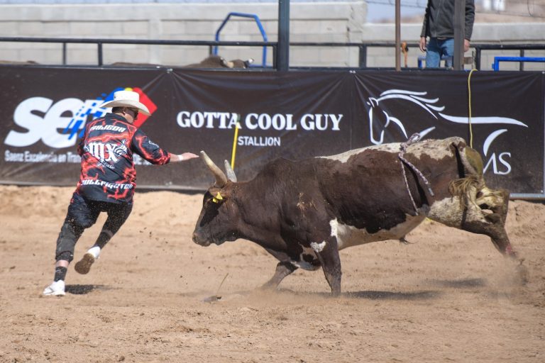 Rodeo, adrenalina y pasión en Samalayuca
