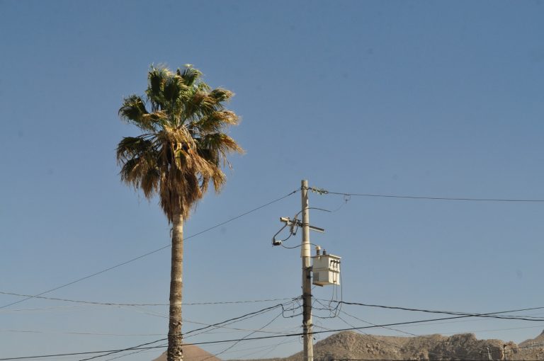 Continúa alerta por viento; rachas podrían alcanzar hasta 75 Km/h