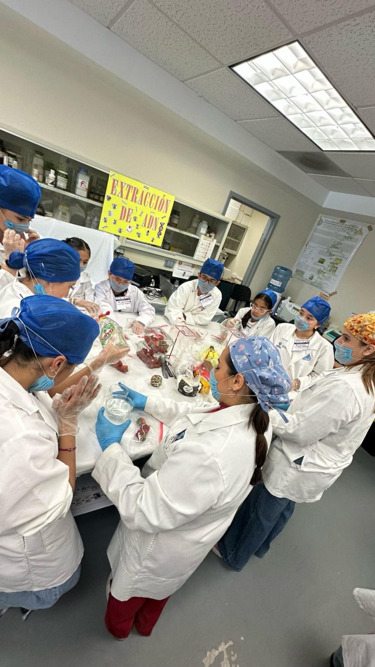 Niños descubren la ciencia en forma divertida en la UACH