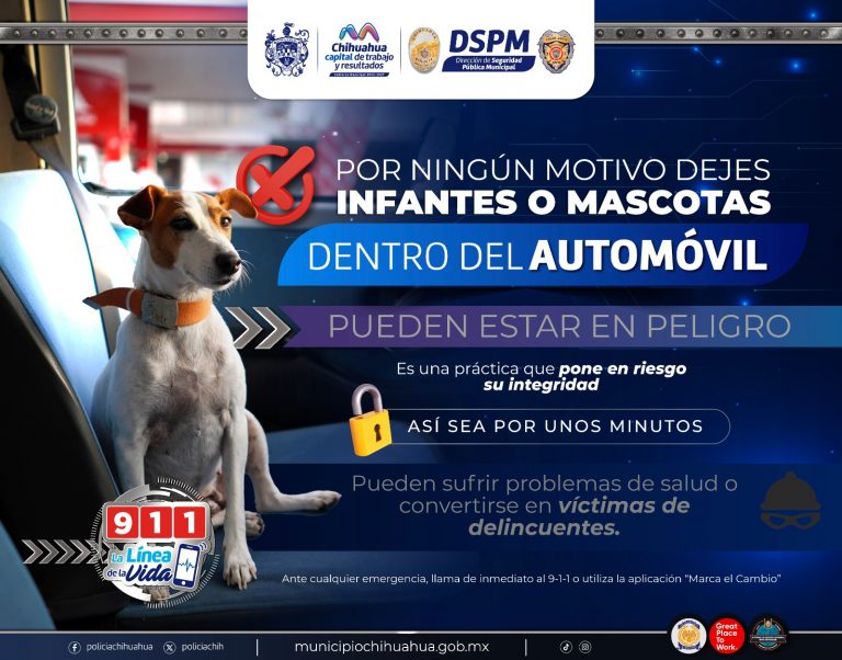 Pide Gobierno Municipal evitar dejar a niños o mascotas dentro del automóvil
