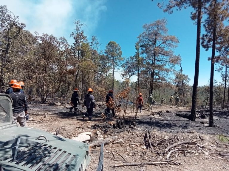 Atienden brigadas 13 incendios activos en el estado