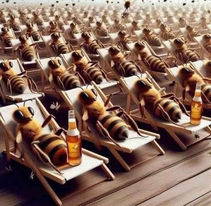La miel de abejas es un milagro