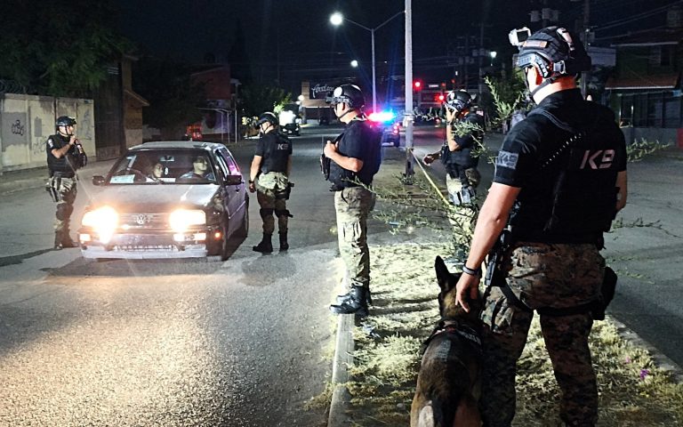 Cuidan a las familias de Chihuahua 14 perros policía de la DSPM