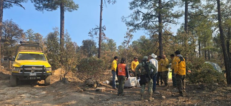Refuerzan combate de incendios forestales