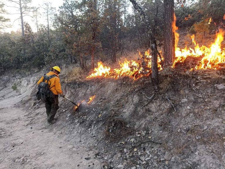 Registra Conafor 6 incendios forestales en Chihuahua