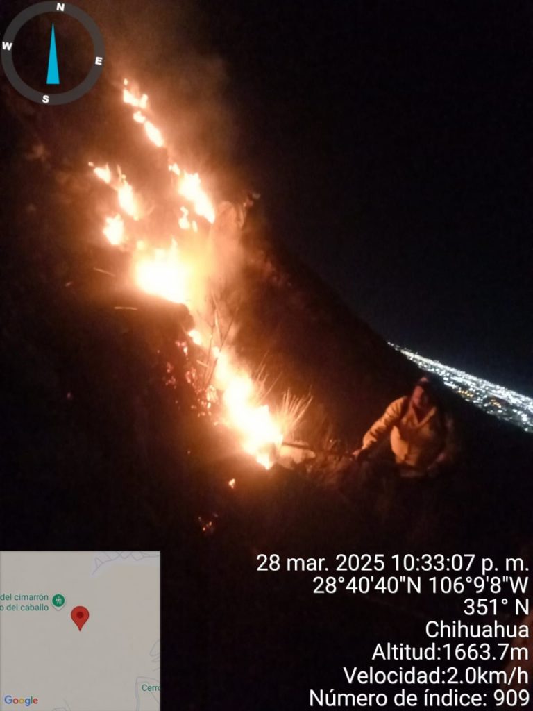 Incendio en Cerro del Mogote quedó liquidado en su totalidad: Gobierno Municipal