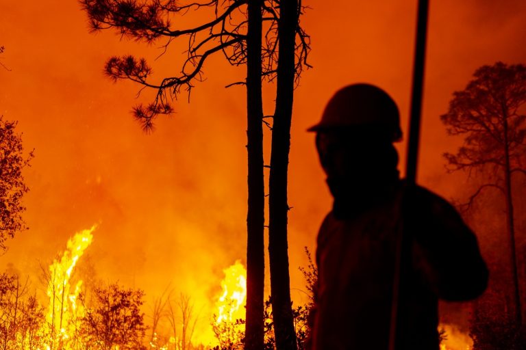 Trabajan 200 brigadistas en el combate de ocho incendios forestales en la entidad