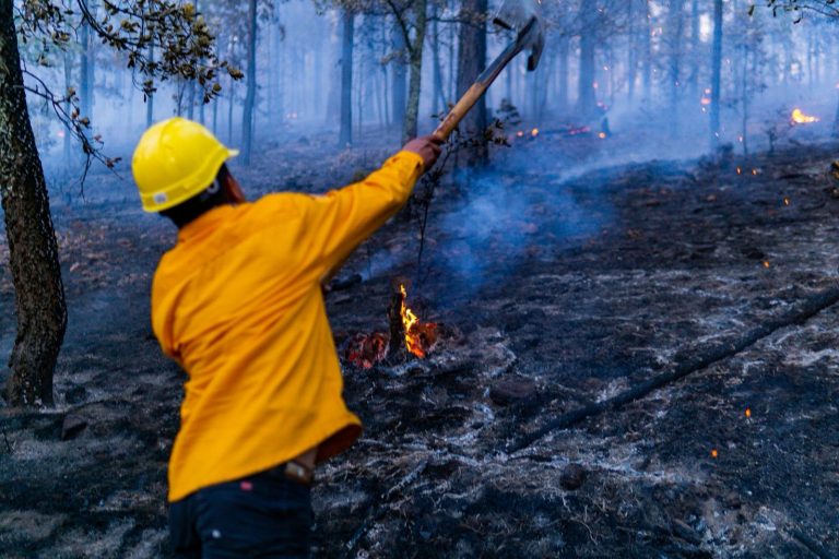 Registra SDR sólo 2 incendios forestales este domingo