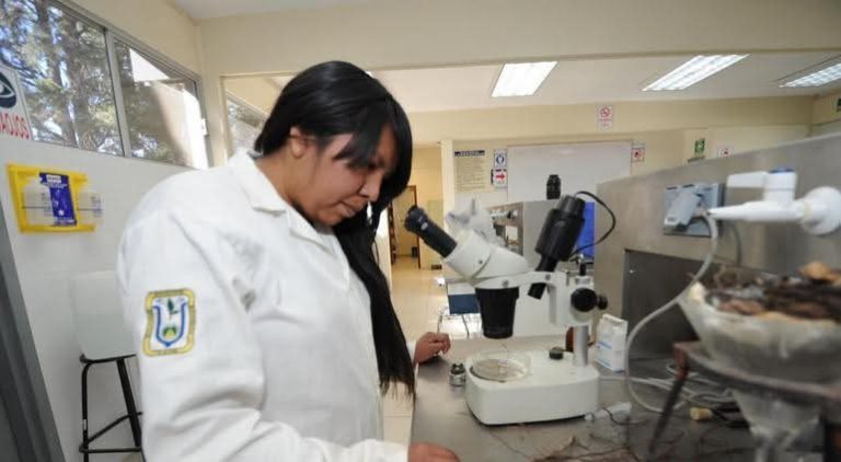 La mujer rarámuri que logró limpiar el agua gris por medio de flores de cempasúchil: María Teresa Ramírez Vega