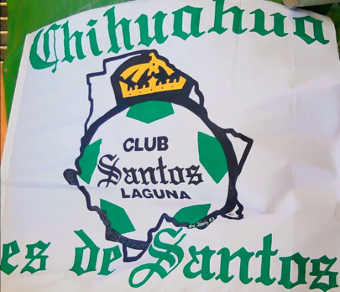 Santos Laguna cayó ante los Pumas por 2 a 0