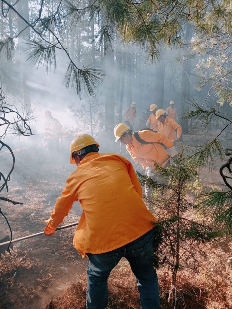 Reporta SDR 13 incendios activos en el estado 
