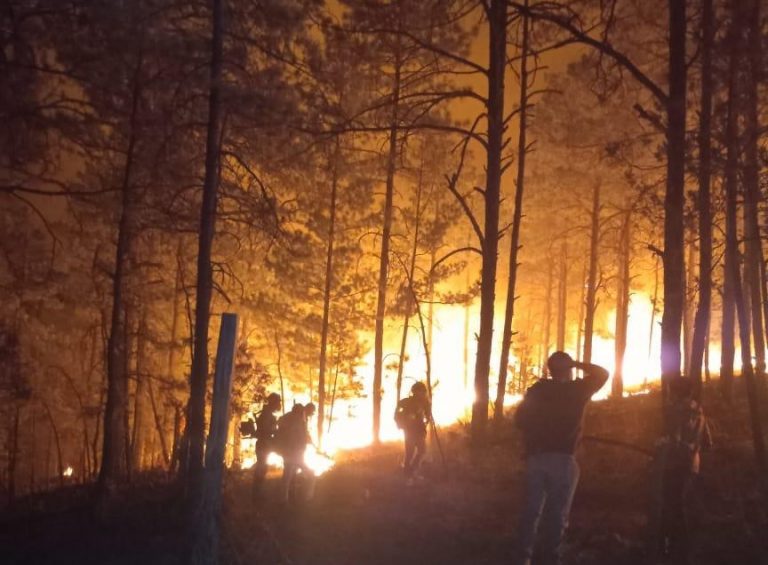 Combaten 3 instancias de gobierno 19 incendios forestales en Chihuahua
