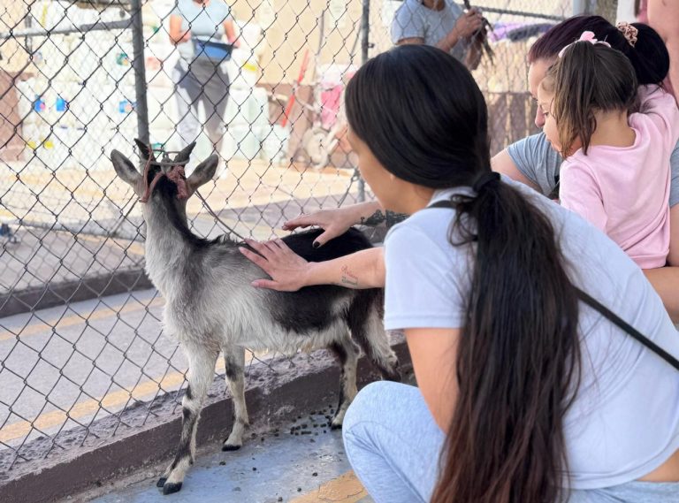 Instala SSPE granja de animales al interior del Cereso Femenil No.1