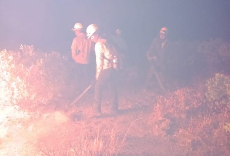 417 brigadistas combaten 13 incendios forestales en Chihuahua