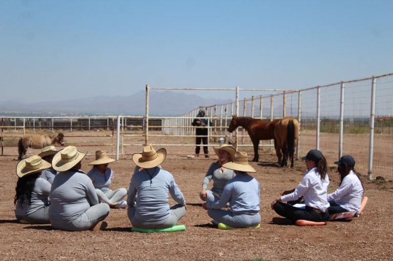 Participan mujeres privadas de la libertad del Cereso Femenil No. 1 en sesión de equinoterapia