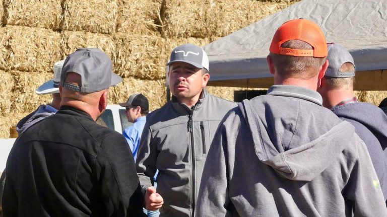 Respaldan en Congreso a ganaderos