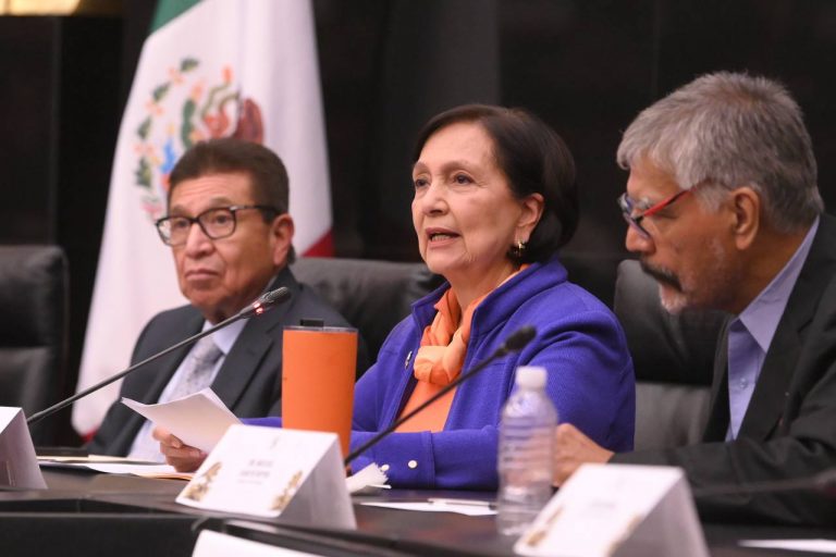 Promueve Amalia García industria de litio y tierras raras en México