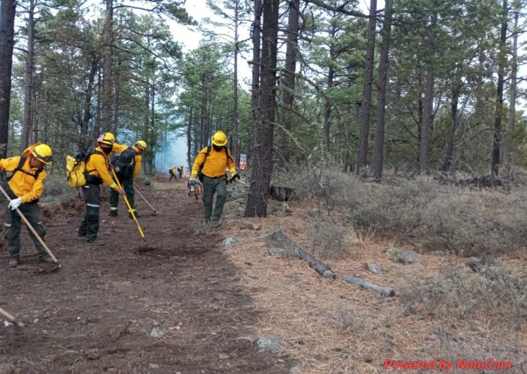 Reporta Conafor 22 incendios activos en la entidad