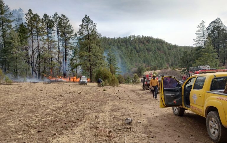 Combaten 354 brigadistas 22 incendios forestales en la entidad