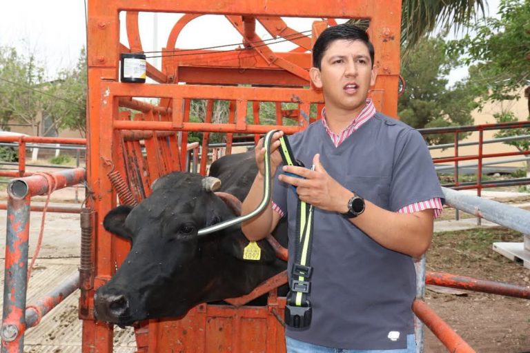 La Facultad de Zootecnia y Ecología de la UACH apuesta por la ganadería de precisión con tecnología de punta