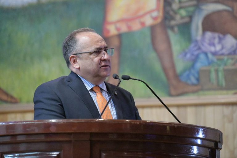 Declaran Santuario de los Murciélagos la caverna de Santa Eulalia