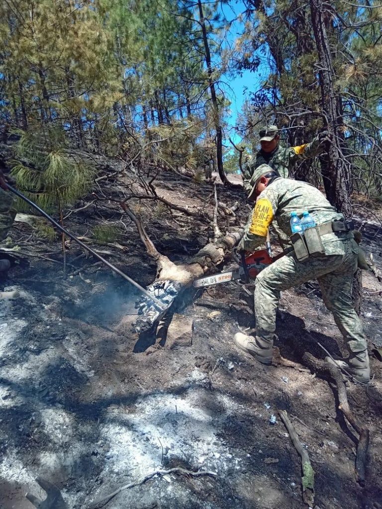 140 brigadistas atienden incendio en Madera y Casas Grandes