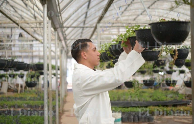 Invita UACH al XXXVII Congreso Internacional en Administración de Empresas Agropecuarias
