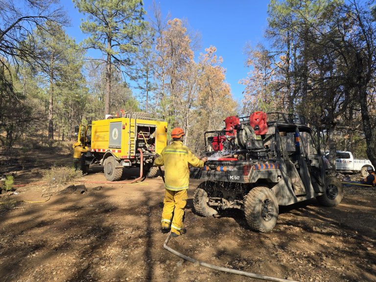 Traslada Protección Civil insumos para brigadistas que combaten incendios forestales en Madera