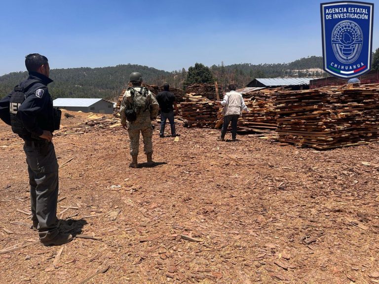 Participa Fiscalía Zona Sur en operativos para combatir delitos ambientales en Guachochi