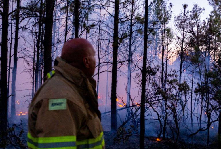 Bajo control el único incendio forestal activo en el estado