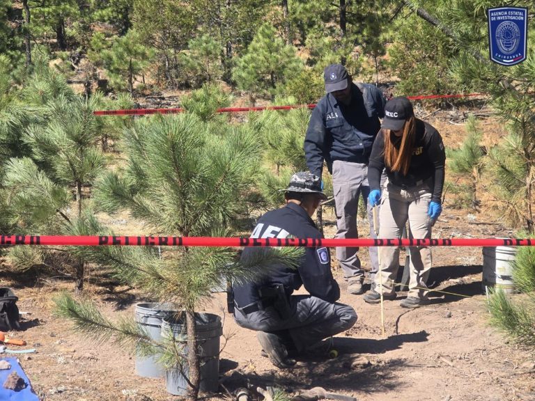 Localizan osamenta y restos óseos durante rastreo en Bocoyna